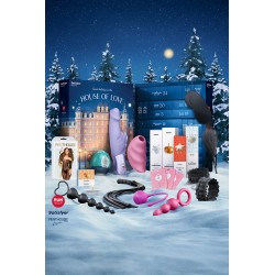 Calendrier de l'Avent Satisfyer Deluxe 2025