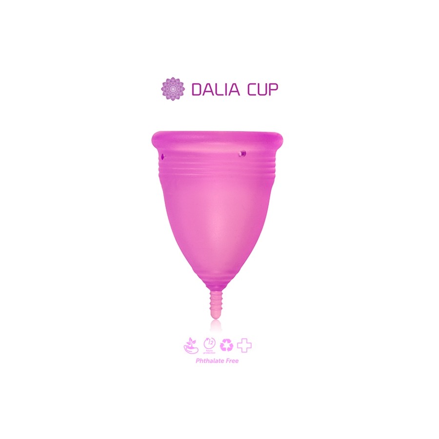 Dalia Cup 