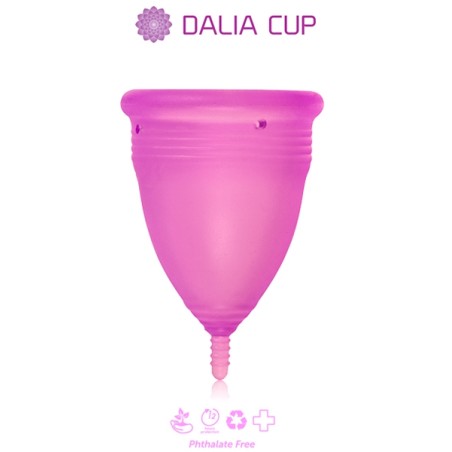 Dalia Cup 