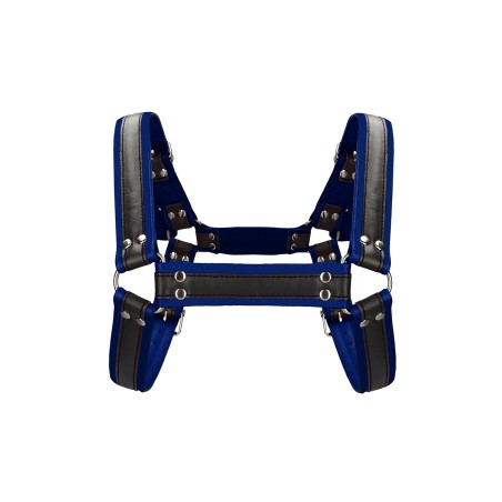 Harnais Buckle Bulldog bleu - Ouch!